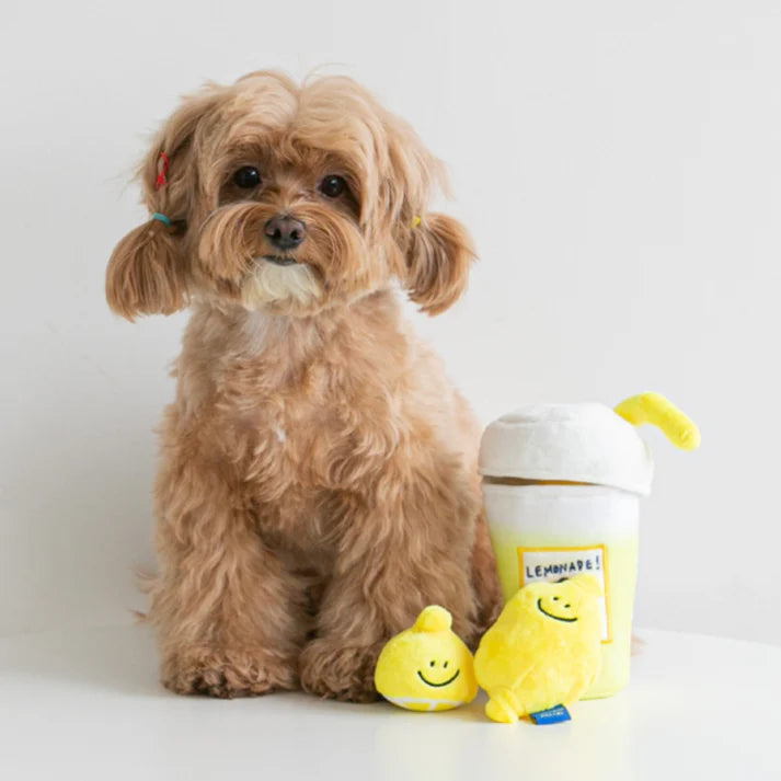 Lemonade Nosework Interactive Toy For Dogs & Cats