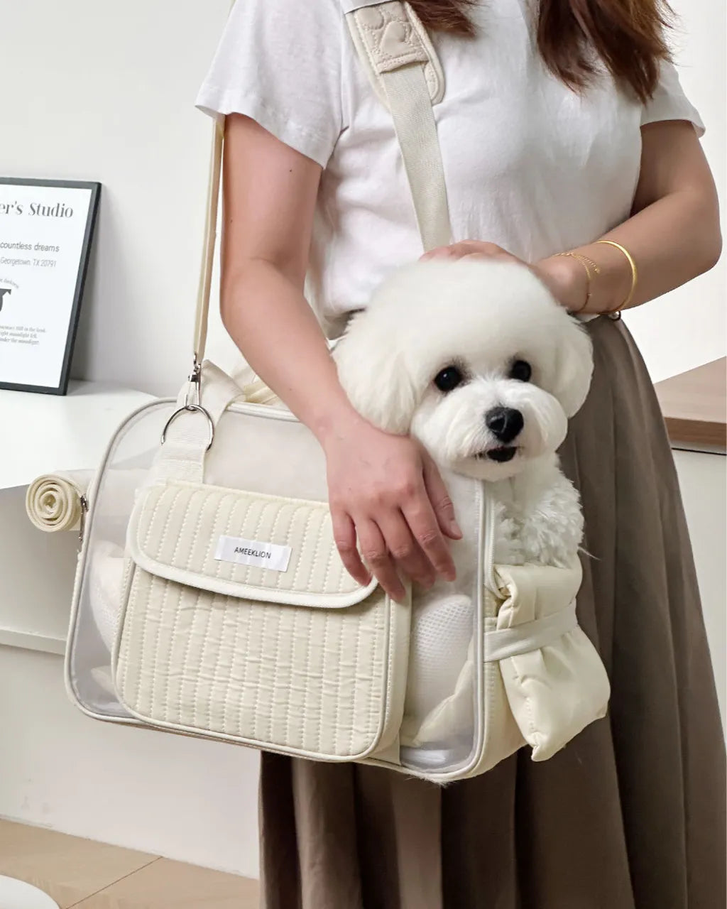 Minimalist Breathable Pet Carrier - Airy Design for Dogs & Cats