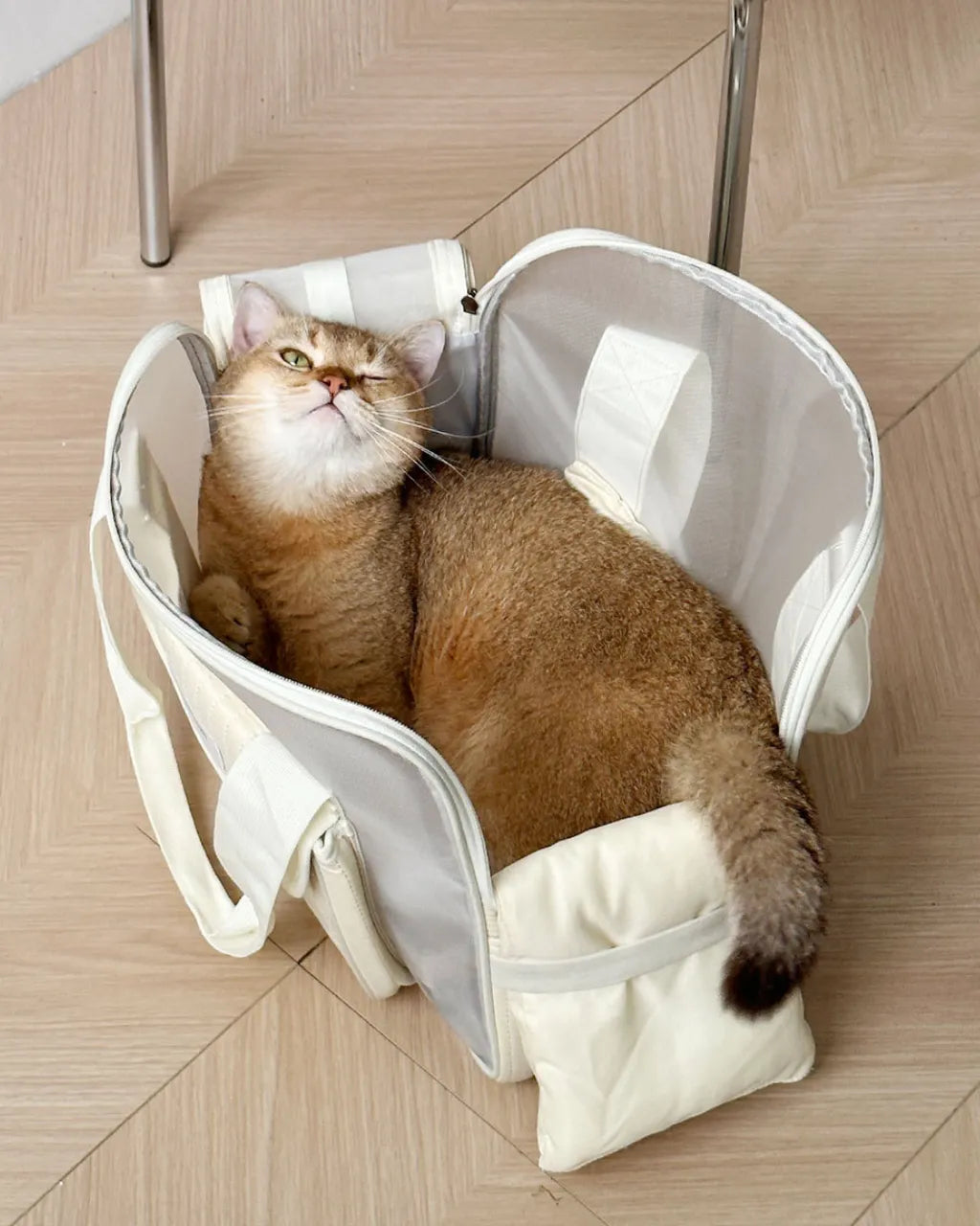 Minimalist Breathable Pet Carrier - Airy Design for Dogs & Cats