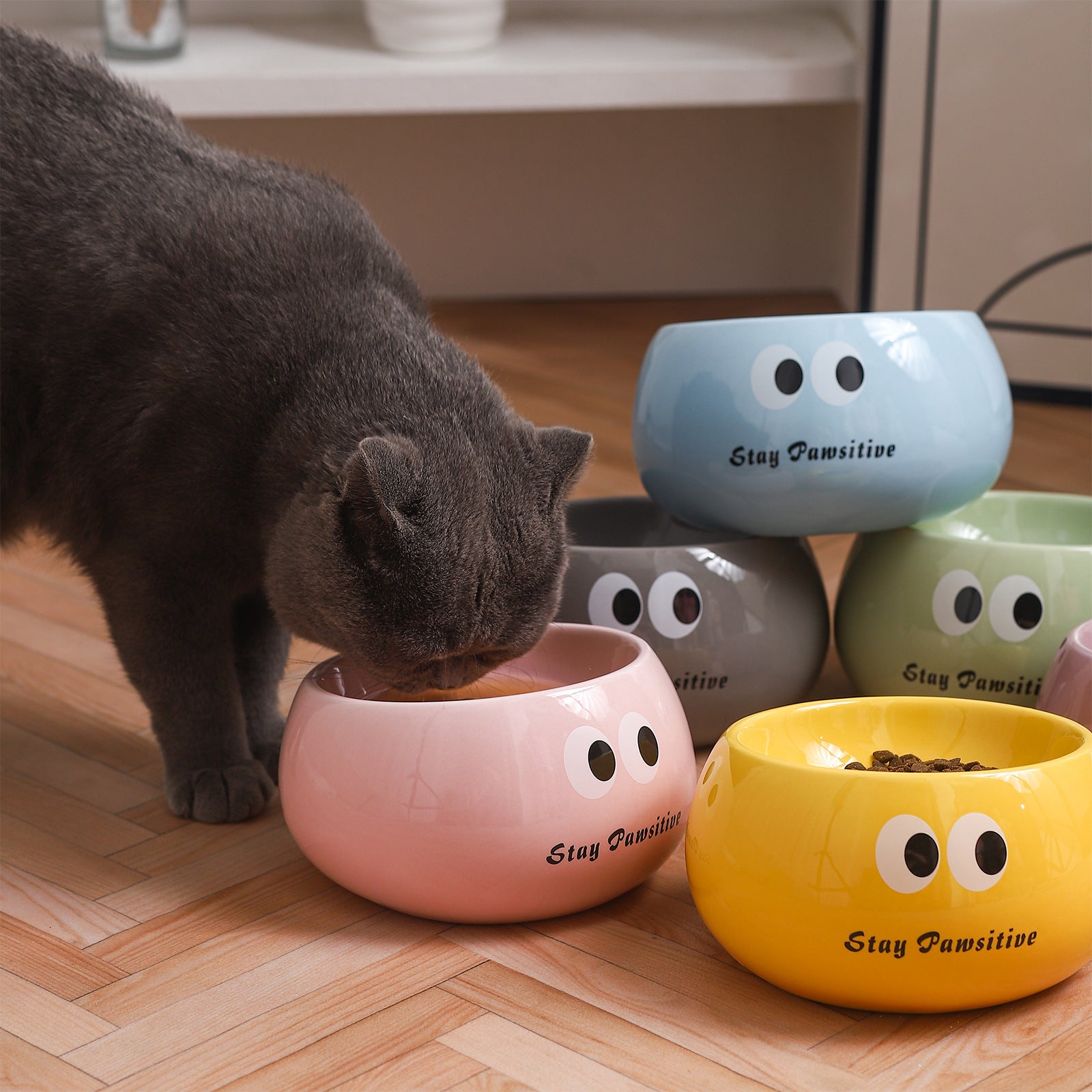 Stay Pawsitive Slanted Ceramic Pet Bowl - Anti-Slip, Easy-Eat Design 6oz 180ml