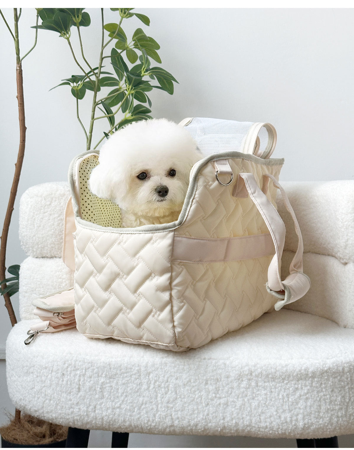 Lightweight Breathable Portable Pet Carrier for Small Dogs & Cats