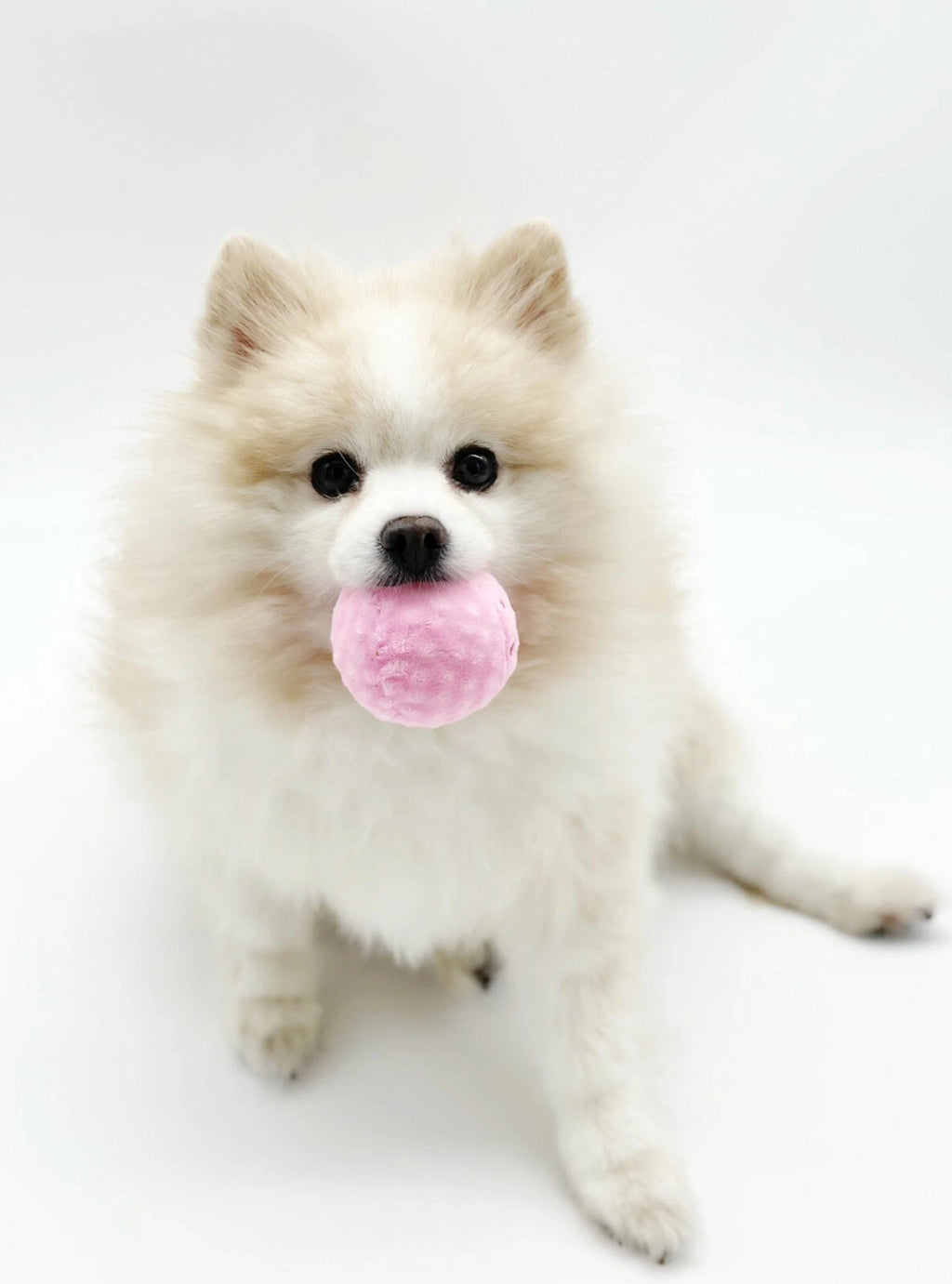 Interactive Squeaky Ice Cream Bucket Set